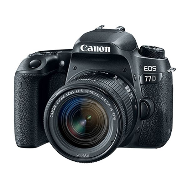Зеркальная камера Canon EOS 77D Kit 18-55 IS STM